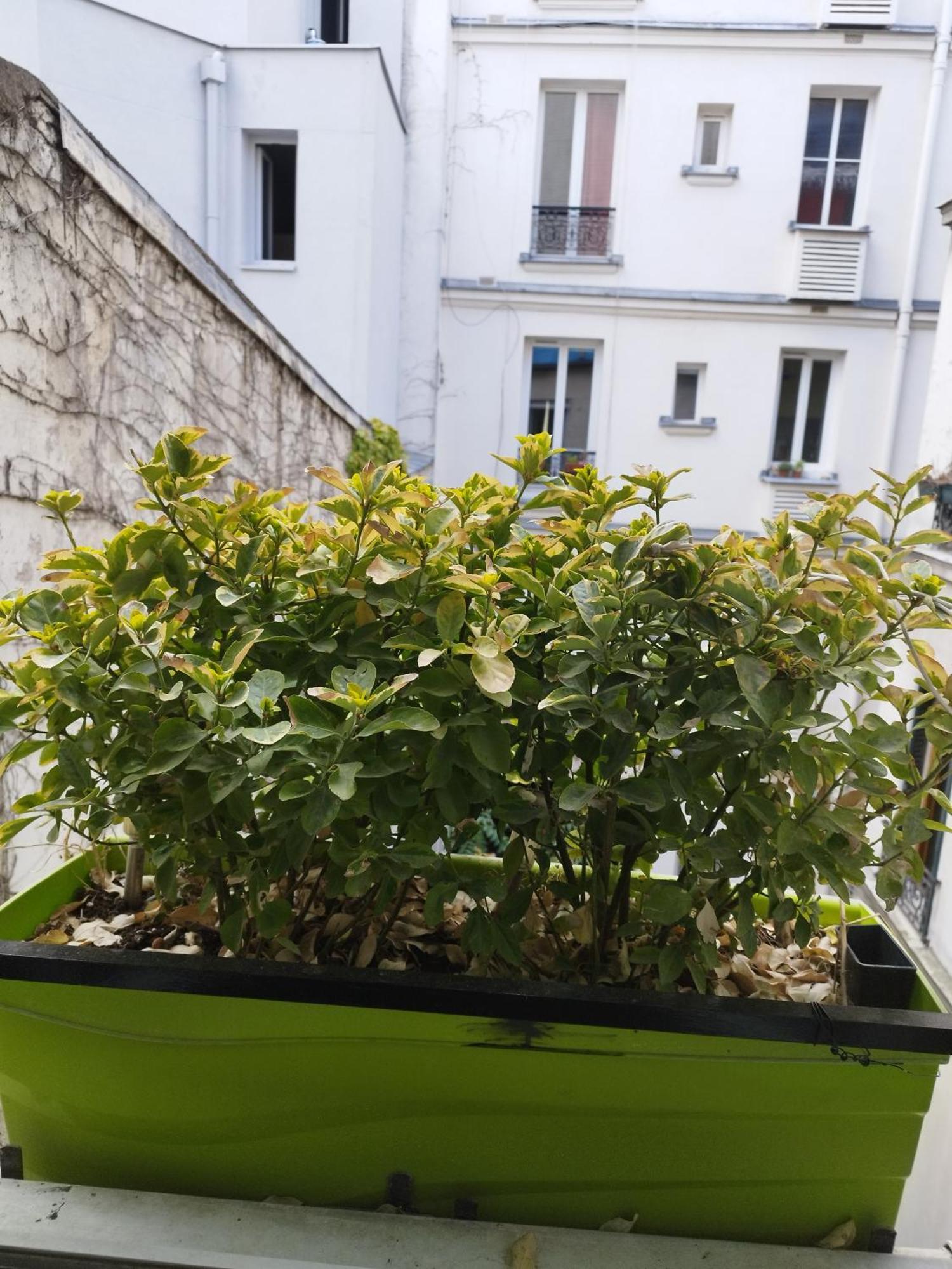 Petit Cocon Parisien ! Paris Centre - Gare Du Nord Apartment ห้อง รูปภาพ